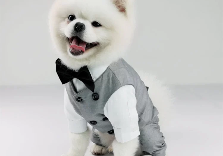 Boy-Dog-Wedding-Suit-Male-Dog-Clothes-Marriage-Pet-Clothing-Jumpsuit-Vest-Coat-Cat-Chihuahua-Poodle